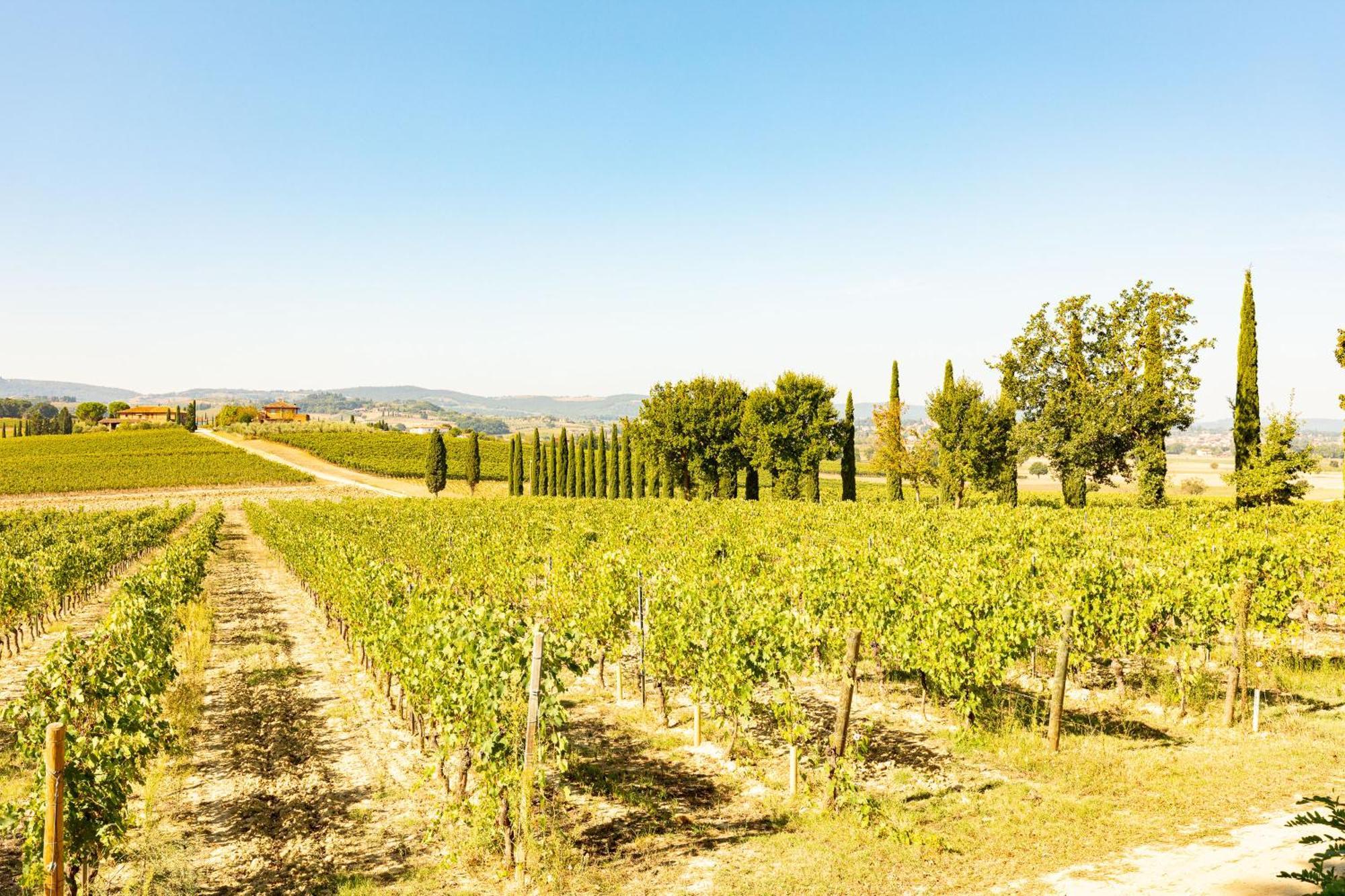 Appartamento Greppino Montepulciano Stazione Exteriör bild