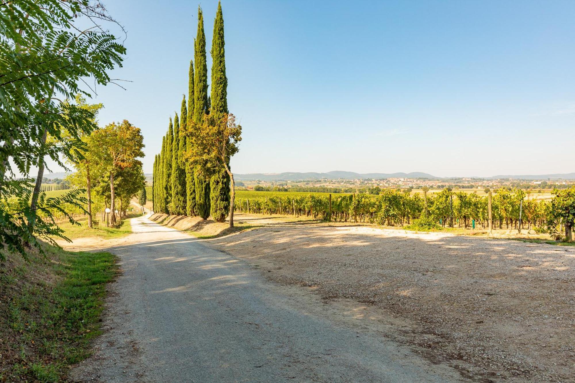 Appartamento Greppino Montepulciano Stazione Exteriör bild