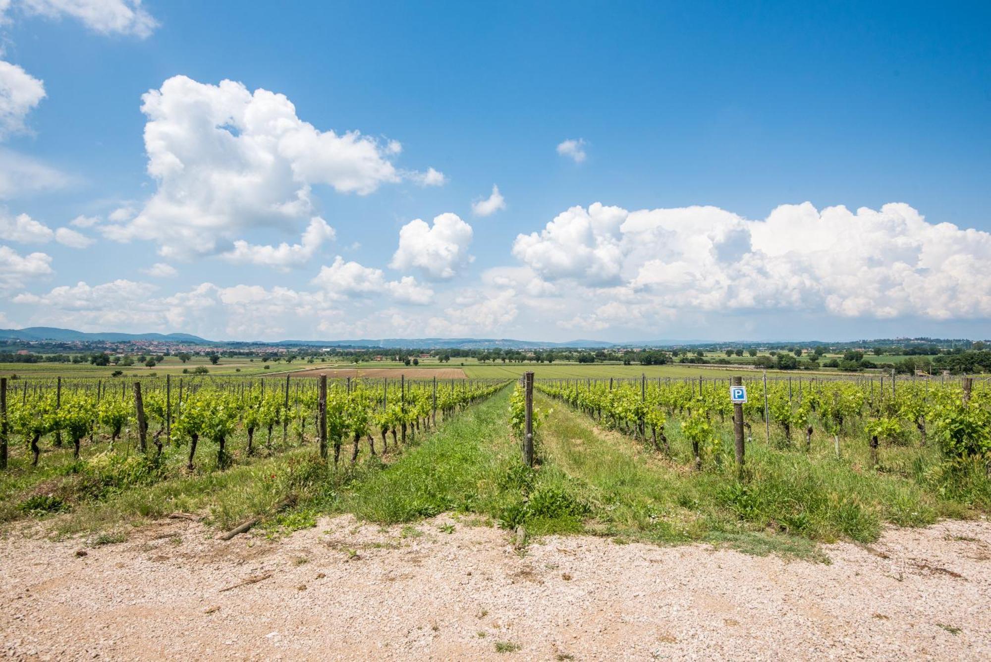 Appartamento Greppino Montepulciano Stazione Exteriör bild